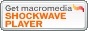 Macromedia Shockwave Player をダウンロード